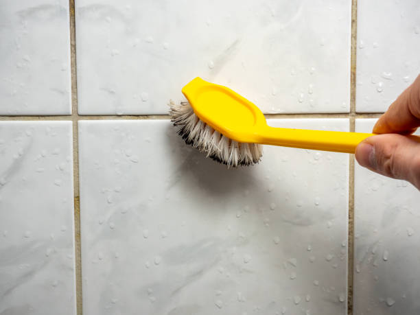 Certified Mold Removal in Junction, TX