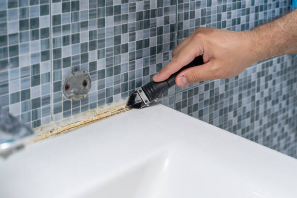 Best Home Mold Removal  in Junction, TX